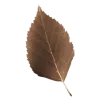 🍂 Эмодзи «Осенний Пак» для Telegram