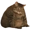 😔 Эмодзи «Осенний Пак» для Telegram