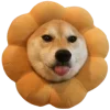 🐶 Эмодзи «Осенний Пак» для Telegram