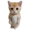🥺 Эмодзи «Осенний Пак» для Telegram