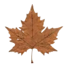 🍁 Эмодзи «Осенний Пак» для Telegram