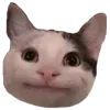 🙃 Эмодзи «Осенний Пак» для Telegram