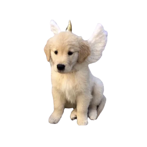 🐕 Стикер «-,’,’- do you feel this autumn? =)» для Telegram