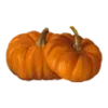 🎃 Эмодзи «ㅤᜊ 𝑎𝗎𝗍𝗎𝗆𝗇 𝗅𝖾𝗮𝖿» для Telegram