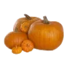 🎃 Эмодзи «ㅤᜊ 𝑎𝗎𝗍𝗎𝗆𝗇 𝗅𝖾𝗮𝖿» для Telegram