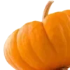 🎃 Эмодзи «ㅤᜊ 𝑎𝗎𝗍𝗎𝗆𝗇 𝗅𝖾𝗮𝖿» для Telegram
