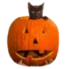 🎃 Эмодзи «ㅤᜊ 𝑎𝗎𝗍𝗎𝗆𝗇 𝗅𝖾𝗮𝖿» для Telegram