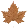 🎃 Эмодзи «ㅤᜊ 𝑎𝗎𝗍𝗎𝗆𝗇 𝗅𝖾𝗮𝖿» для Telegram