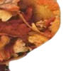 🎃 Эмодзи «ㅤᜊ 𝑎𝗎𝗍𝗎𝗆𝗇 𝗅𝖾𝗮𝖿» для Telegram