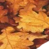 🎃 Эмодзи «ㅤᜊ 𝑎𝗎𝗍𝗎𝗆𝗇 𝗅𝖾𝗮𝖿» для Telegram