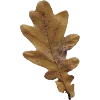 🍂 Эмодзи «warm autumn vibe» для Telegram