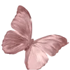 🦋 Эмодзи «Autumn With Dollclub» для Telegram