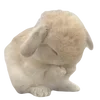 🐰 Эмодзи «Autumn With Dollclub» для Telegram