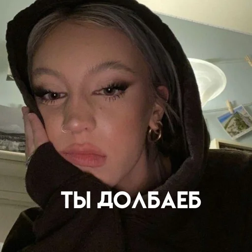 🦕 Стикер «стикерпаки» для Telegram