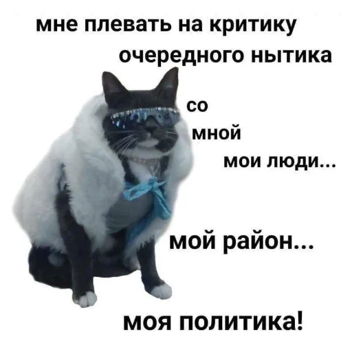 🐱 Стикер «кыш» для Telegram