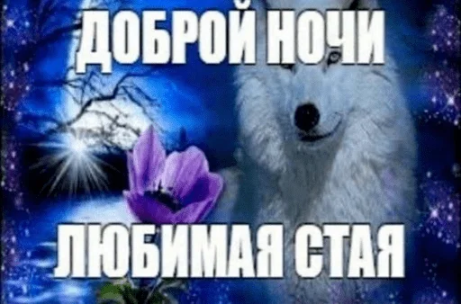 🌙 Стикер «ахуенна ууоуоу» для Telegram