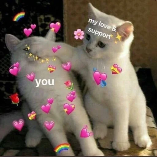 🐱 Стикер «meong» для Telegram