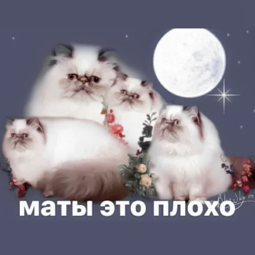 🧷 Стикер «-ˋˏ ˌ fuwuchi» для Telegram