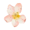 🌟 Эмодзи «Pinkie #status #color #pink #girl» для Telegram