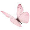 🌟 Эмодзи «Pinkie #status #color #pink #girl» для Telegram