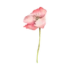 🌟 Эмодзи «Pinkie #status #color #pink #girl» для Telegram