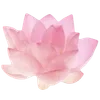 🌟 Эмодзи «Pinkie #status #color #pink #girl» для Telegram