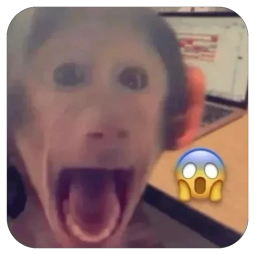 😱 Стикер «бабизянки» для Telegram