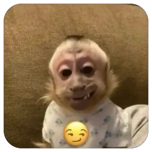 😏 Стикер «бабизянки» для Telegram