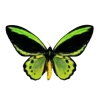 🦋 Эмодзи «Бабочки И Цветы» для Telegram