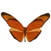 🦋 Эмодзи «Бабочки И Цветы» для Telegram