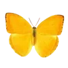 🦋 Эмодзи «Бабочки И Цветы» для Telegram