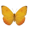 🦋 Эмодзи «Бабочки И Цветы» для Telegram