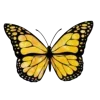 🦋 Эмодзи «Бабочки И Цветы» для Telegram
