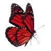 🦋 Эмодзи «Бабочки И Цветы» для Telegram