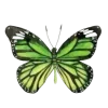 🦋 Эмодзи «Бабочки И Цветы» для Telegram