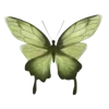 🦋 Эмодзи «Бабочки И Цветы» для Telegram