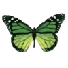 🦋 Эмодзи «Бабочки И Цветы» для Telegram