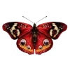 🦋 Эмодзи «Бабочки И Цветы» для Telegram