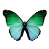 🦋 Эмодзи «Бабочки И Цветы» для Telegram