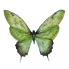 🦋 Эмодзи «Бабочки И Цветы» для Telegram