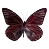 🦋 Эмодзи «Бабочки И Цветы» для Telegram