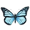 🦋 Эмодзи «Бабочки И Цветы» для Telegram