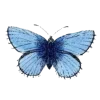 🦋 Эмодзи «Бабочки И Цветы» для Telegram