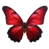 🦋 Эмодзи «Бабочки И Цветы» для Telegram