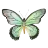 🦋 Эмодзи «Бабочки И Цветы» для Telegram