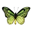 🦋 Эмодзи «Бабочки И Цветы» для Telegram