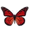 🦋 Эмодзи «Бабочки И Цветы» для Telegram