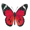 🦋 Эмодзи «Бабочки И Цветы» для Telegram