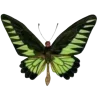🦋 Эмодзи «Бабочки И Цветы» для Telegram