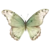 🦋 Эмодзи «Бабочки И Цветы» для Telegram